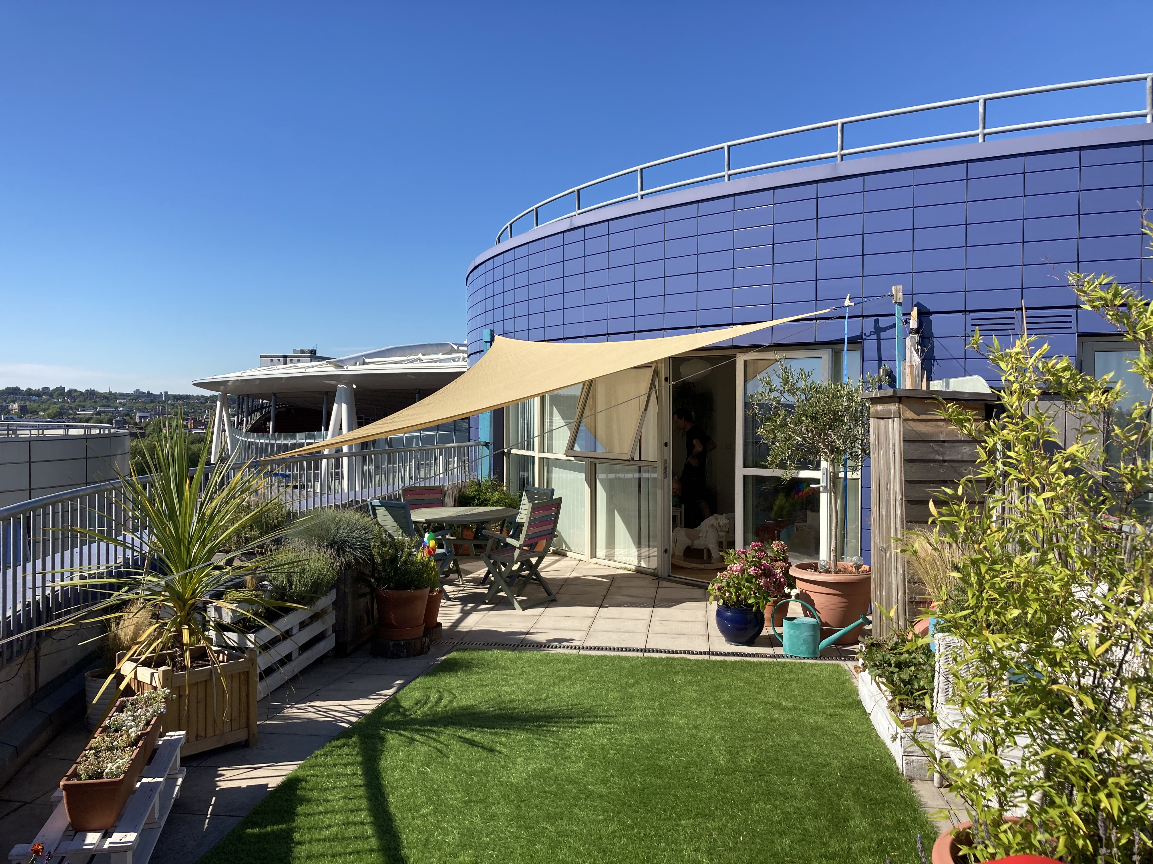 Terrace with lawn, planting and shade sail